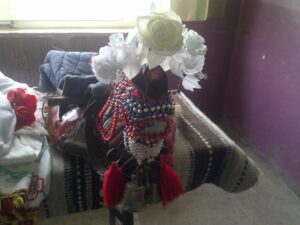 IMG-20141217-00331